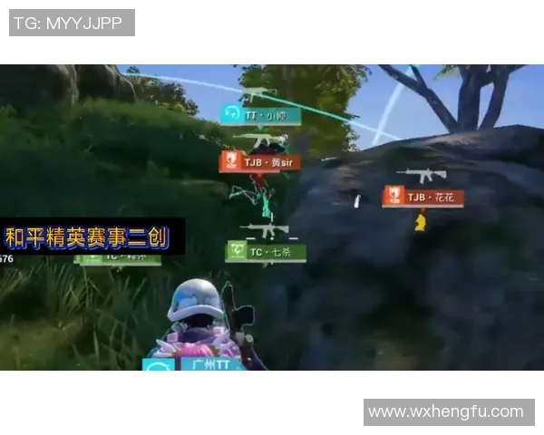 电竞新闻和平精英战术WE整体压制体系解析与实战应用探讨